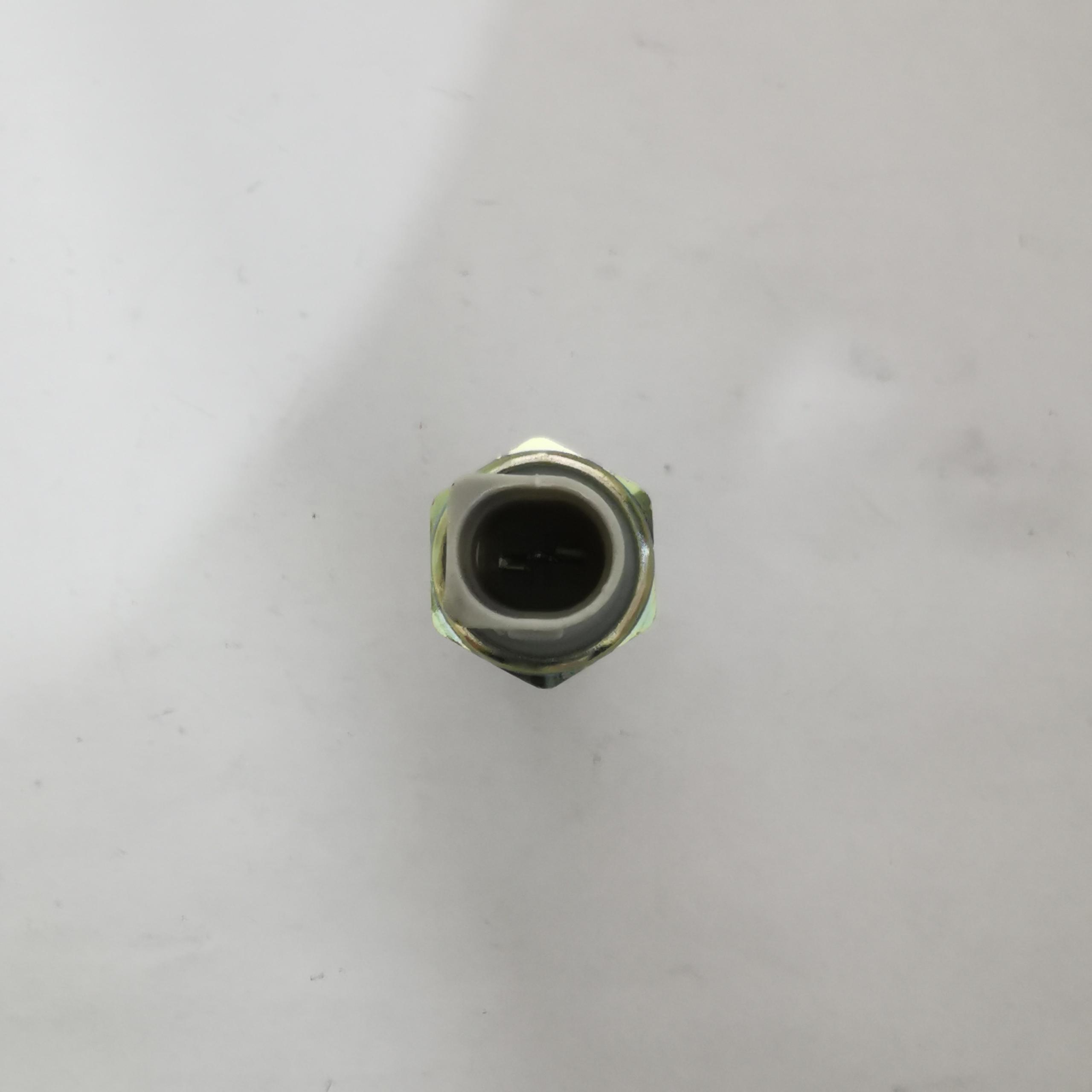 038919081M/038919081P/06A919081/038919081B/1224914/1100767